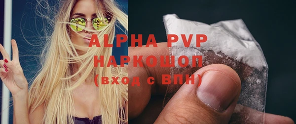 гашик Алексеевка