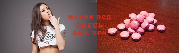 прущие грибы Алексин