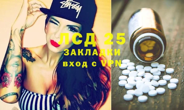 гашик Алексеевка