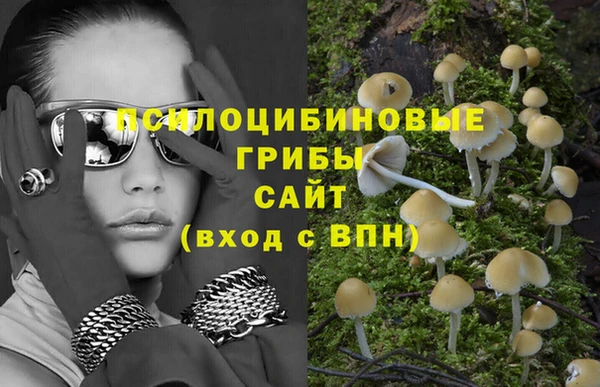 прущие грибы Алексин