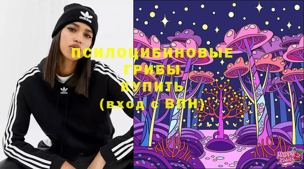 гашик Алексеевка