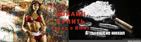 прущие грибы Алексин