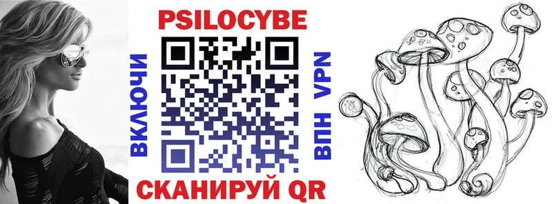 где найти наркотики блэк спрут как войти Псилоцибиновые грибы Psilocybe Железногорск