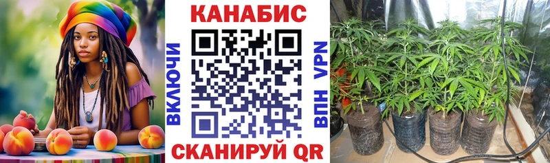 ссылка на мегу как войти  Железногорск  Конопля план 
